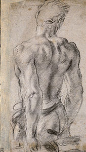 Male Nude Seen From Behind Artble